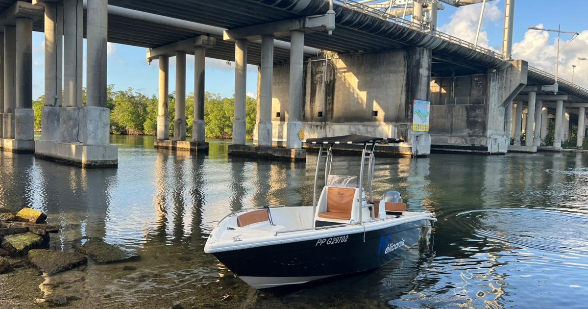     





Un bateau percute le pont de l’Alliance : un mort, 9 personnes impliquées




