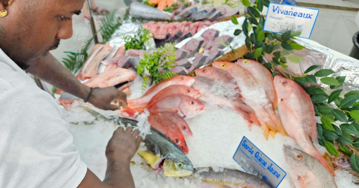 En cette période de Carême, le poisson a la cote