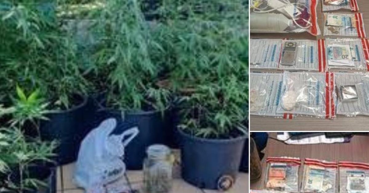 Suspecté d'un simple vol, il cachait chez lui de la drogue en quantité