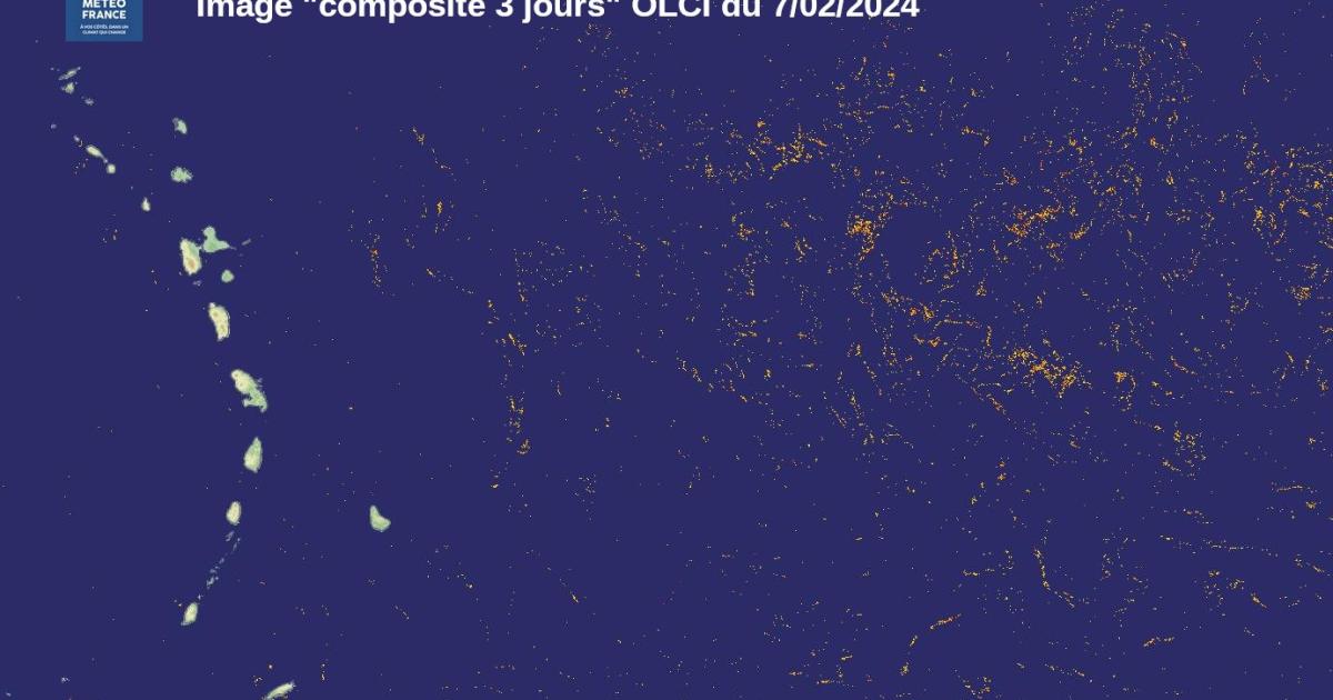     





Sargasses : le calme avant la grande vague ?




