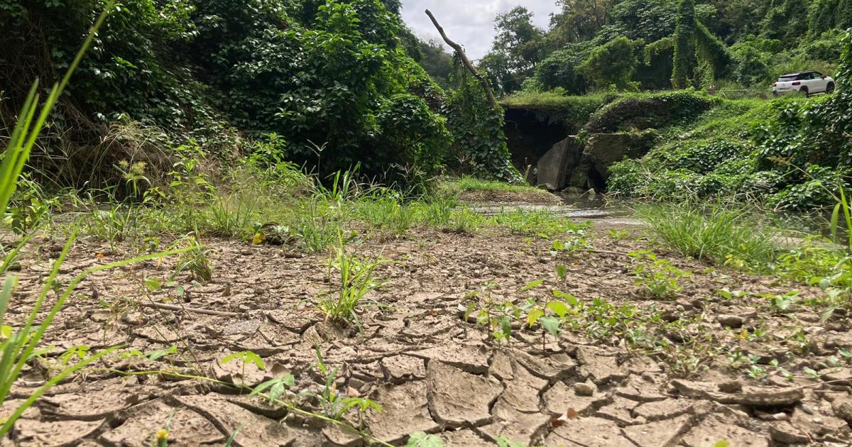 Route abimée et irrigation endommagée : les difficultés des agriculteurs du Prêcheur