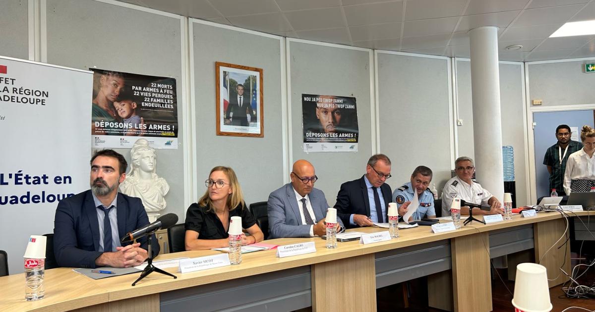 Homicides et violences sexuelles en hausse : le dur bilan de la criminalité en Guadeloupe