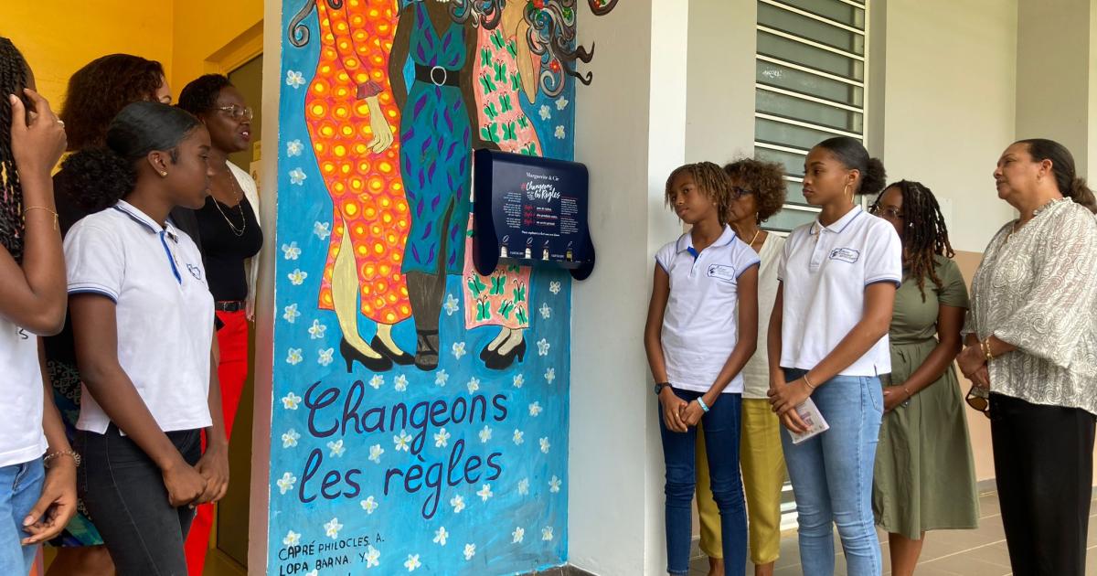 Un distributeur de protections hygiéniques installé au collège Edouard Glissant