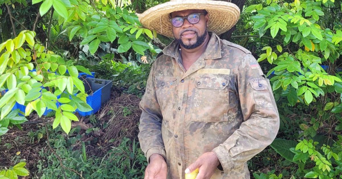     





Marc-André, jeune agriculteur : « plus de charges que de rentrées d’argent à la fin du mois »




