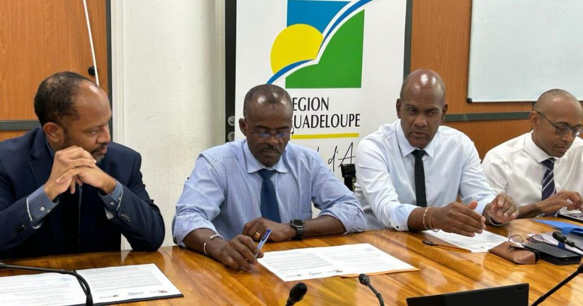     





La Région de Guadeloupe, la CTM et l'UA affichent leur intention de coopérer




