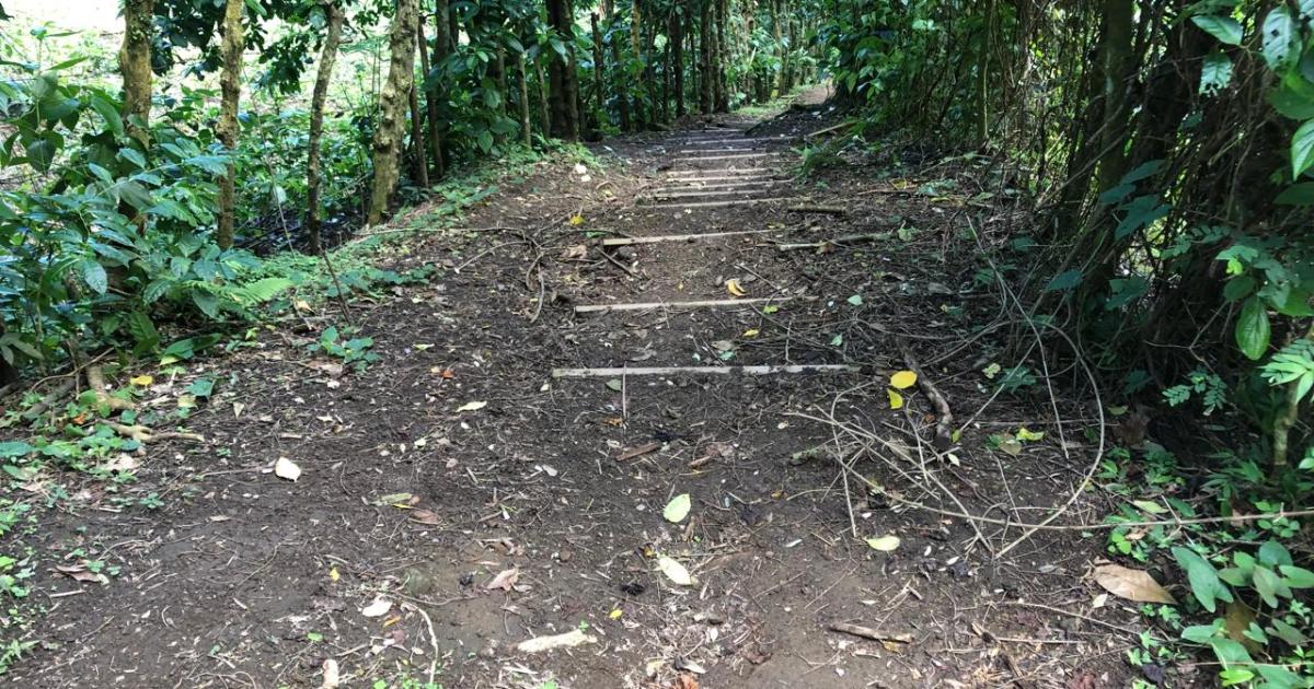 Une randonneuse secourue par les pompiers à Anse Couleuvre