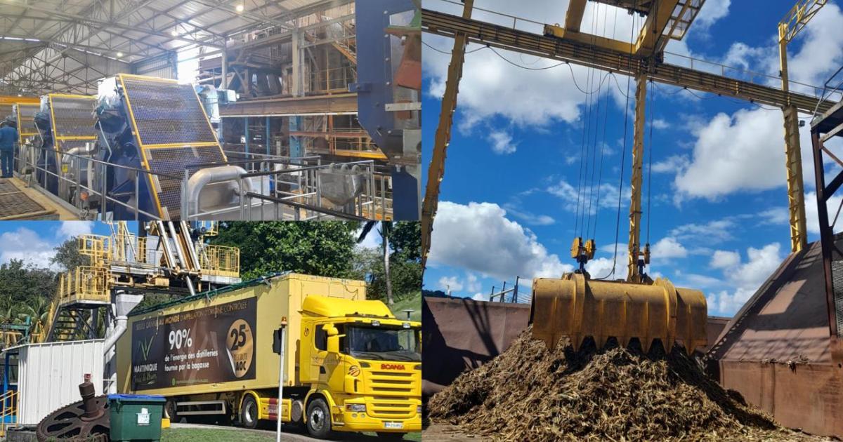     





Campagne sucrière en Martinique : le Galion passe à l’électrique 




