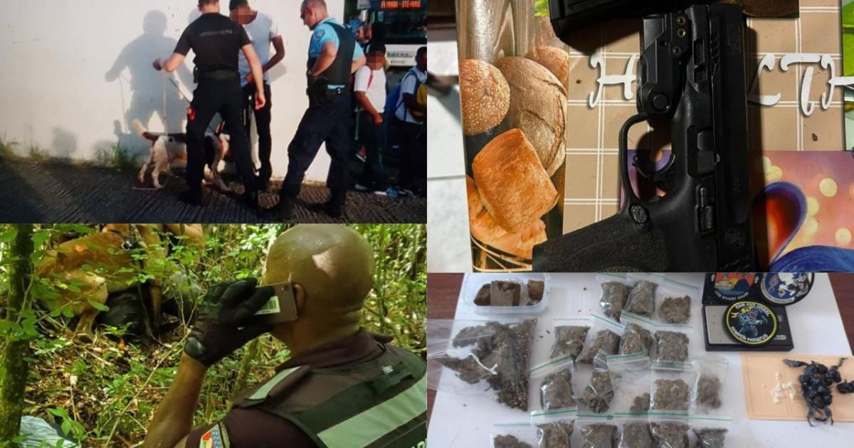 Opération « Place Nette » en Martinique : 23 interpellations, dont des auteurs présumés de meurtres