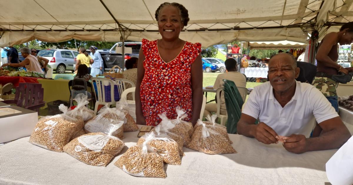     





Les pois pays valorisés à Anse-Bertand




