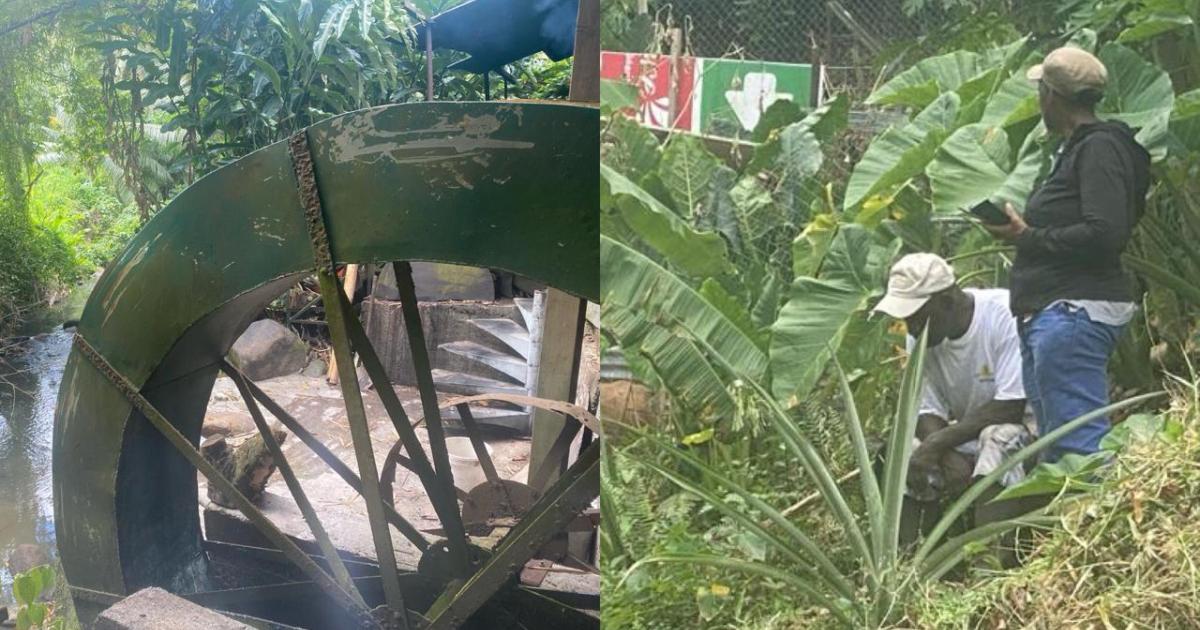     





Le coup de main de jeunes bénévoles au Moulin Hydroélectrique du Gros-Morne




