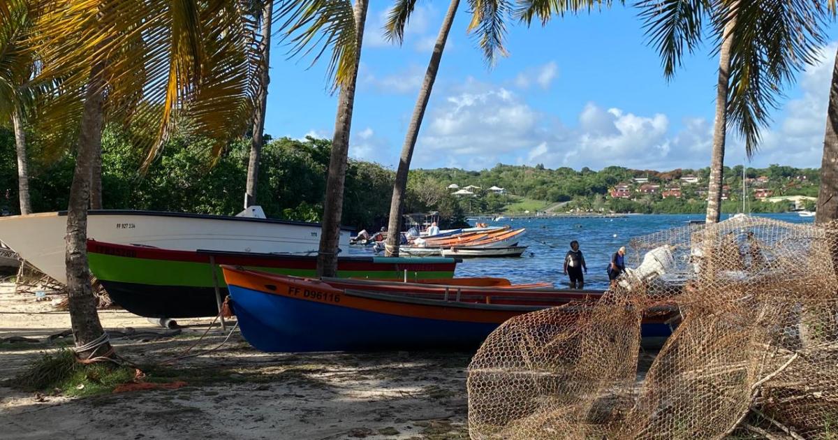 Bruxelles débloque les aides pour renouveler les flottes de pêche en Guadeloupe et en Martinique