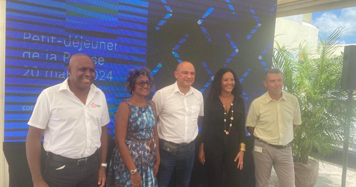 Energies renouvelables et hausse des tarifs : EDF Archipel Guadeloupe fait le point