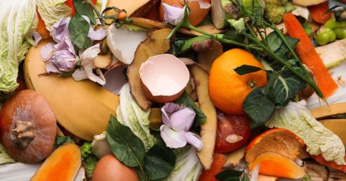 Le compostage, une solution pour réduire les déchets