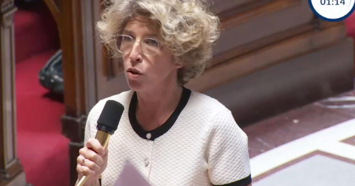 Assemblée Nationale : « une déferlante de violence insupportable » en Guadeloupe