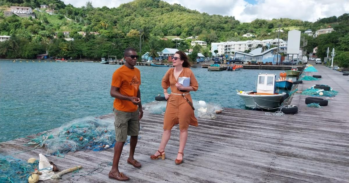 Marine Tondelier (EELV) : « sur le chlordécone, les Martiniquais ont le droit à la vérité et à des excuses »