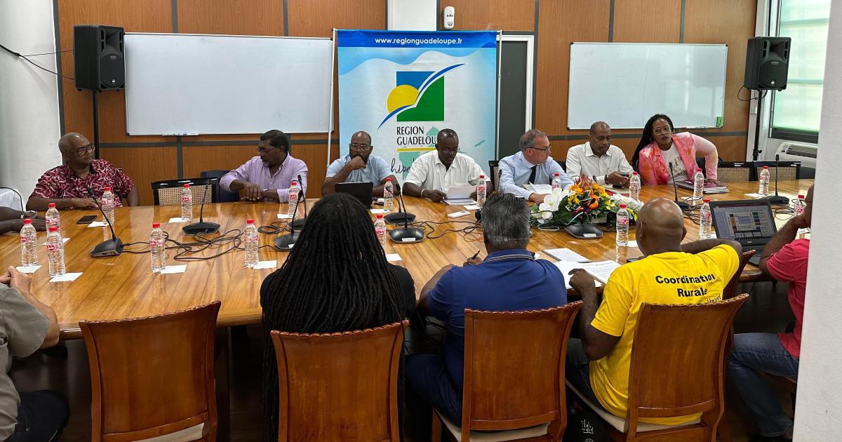Conflit de la canne : toujours pas de signature du protocole
