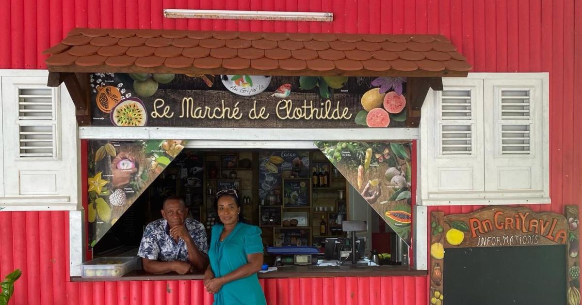 En immersion dans les métiers du Tourisme : « une belle opportunité pour nous aiguiller »