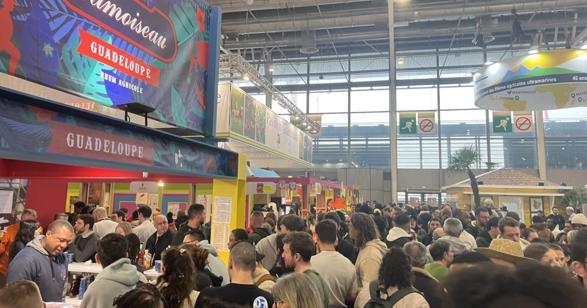 Salon de l'Agriculture : fréquentation en baisse, mais bilan positif