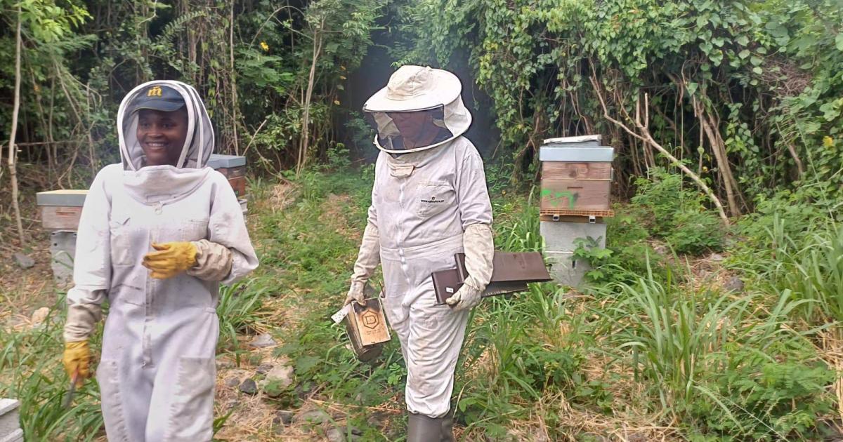 Géraldine, d’infirmière à agricultrice, le parcours du combattant