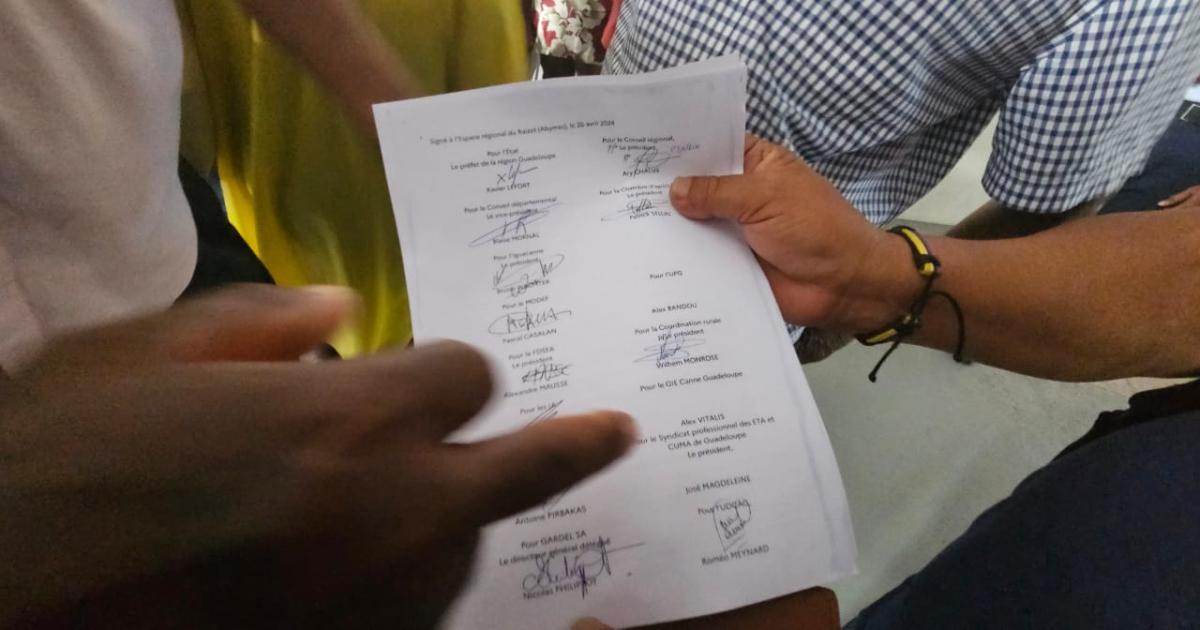 Sortie de crise officiellement signée pour les acteurs de la Canne