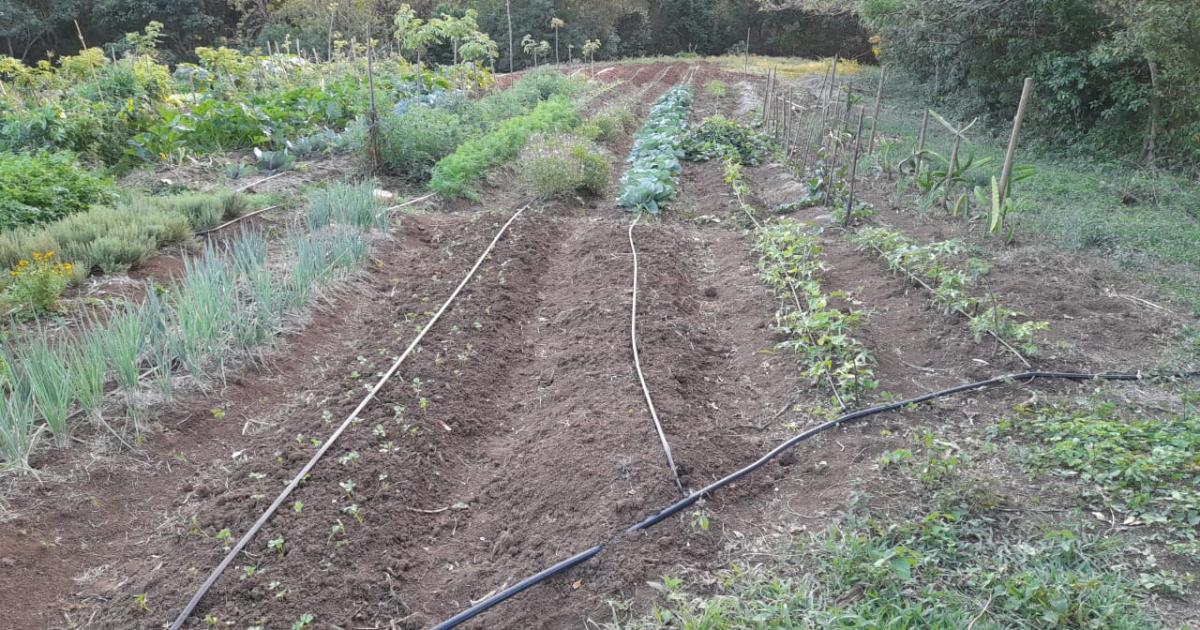     





Loïc, en reconversion agricole : « Ce que je voulais, c’était nourrir ma famille »




