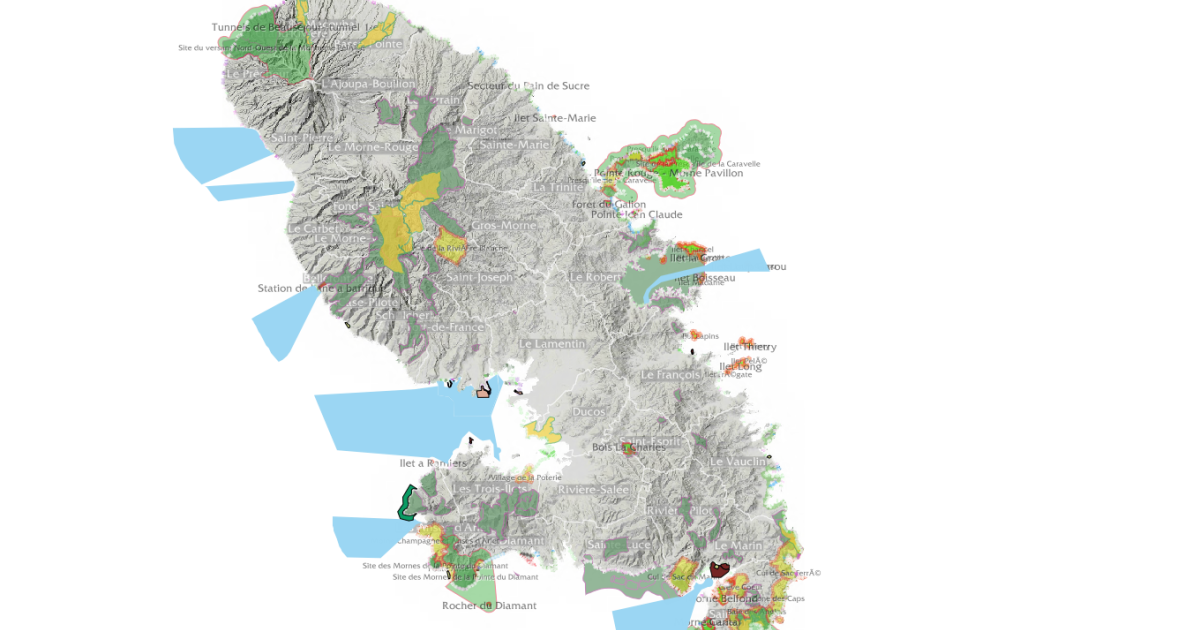     





L’IGN et Géo Martinique s’allient pour une meilleure connaissance du territoire




