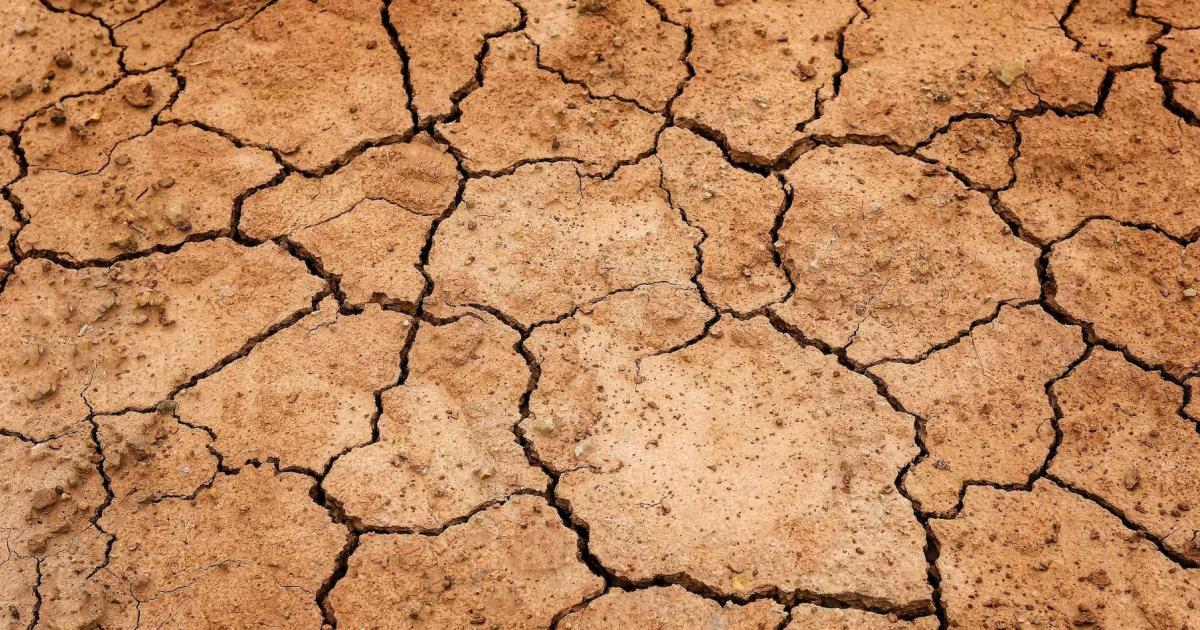 La Martinique est placée en situation de « Crise sécheresse »