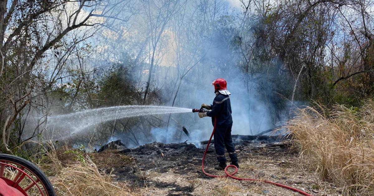 Près de 90 feux de broussailles en Martinique depuis début mars