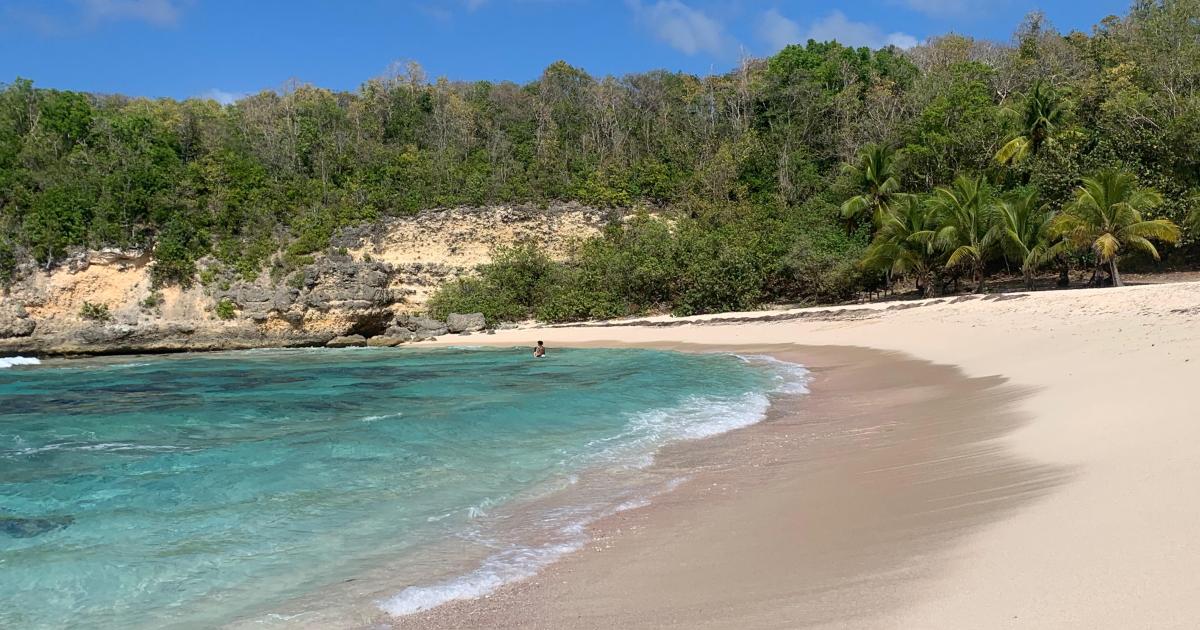     





La Guadeloupe bonne dernière dans un top 20 des destinations voyages du mois de mars




