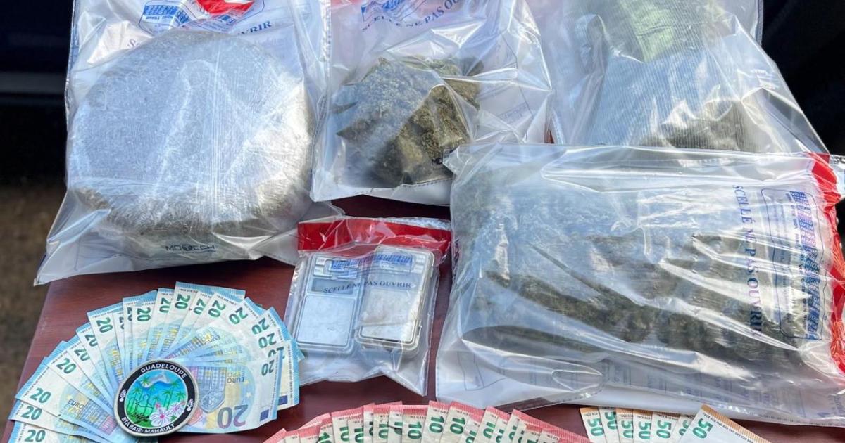2 kilos de cannabis et 1 000 euros en petites coupures saisis à Baie-Mahault