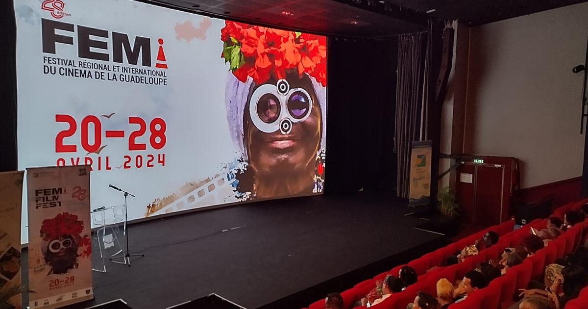     





Le Festival Régional et International de Cinéma de Guadeloupe se poursuit 




