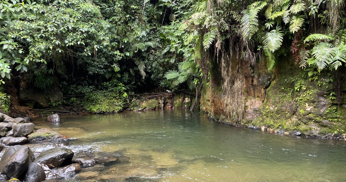 Sécheresse en Martinique : des restrictions de l’usage de l’eau pourraient être décidées