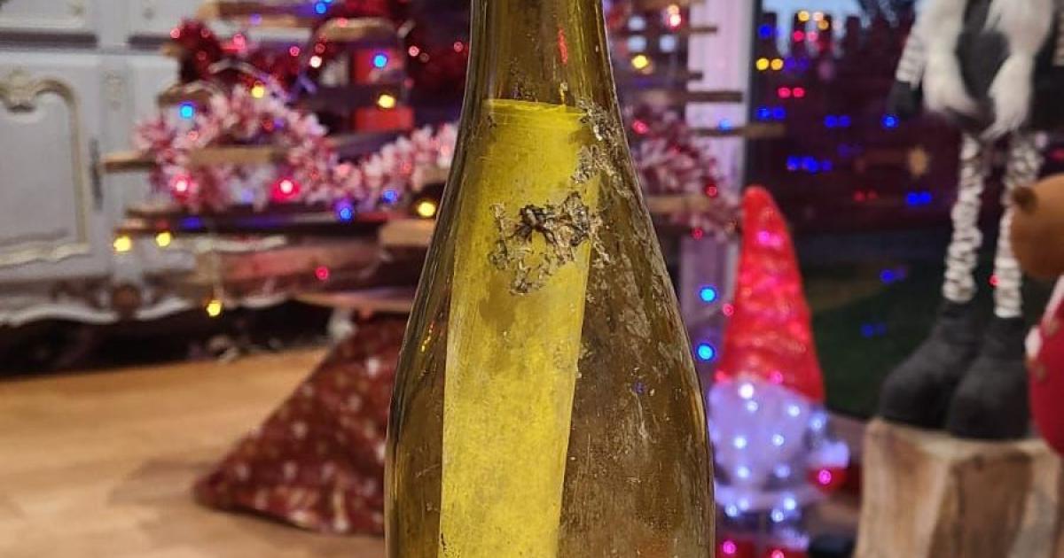 Jetée en mer des Caraïbes, une bouteille retrouvée en France… 16 ans après