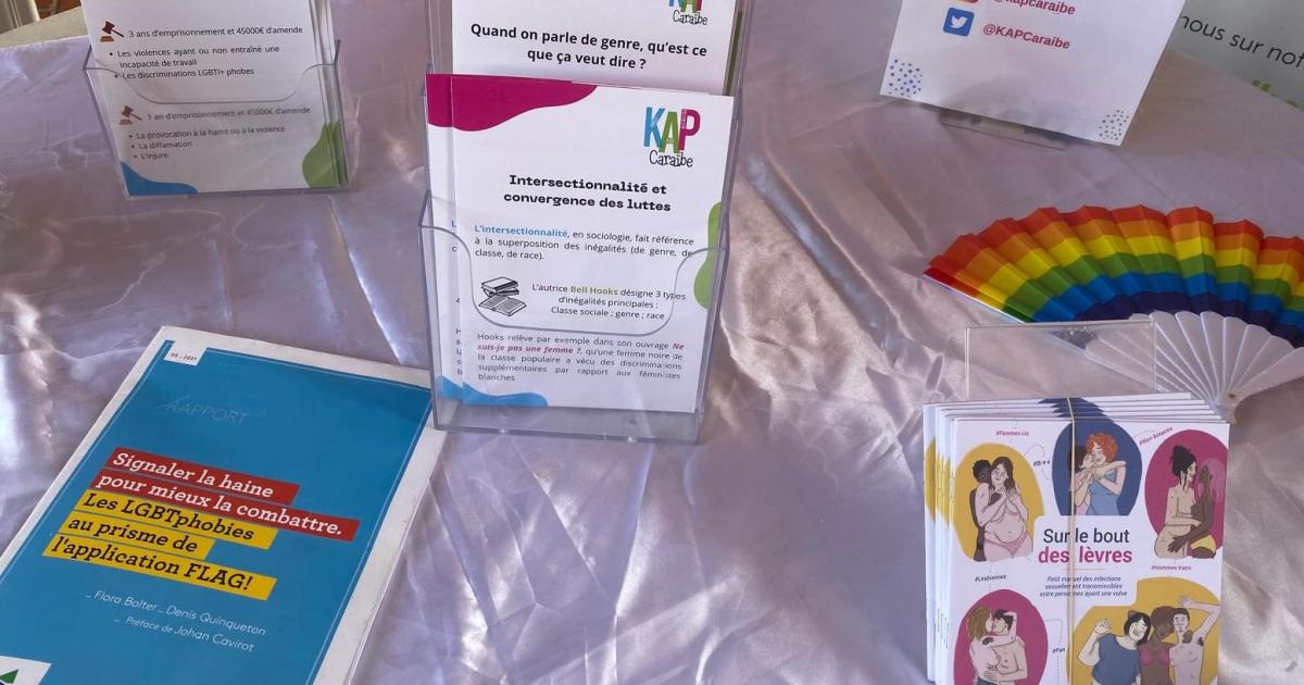 Une Journée de lutte contre l'Homophobie, la Transphobie et la Biphobie