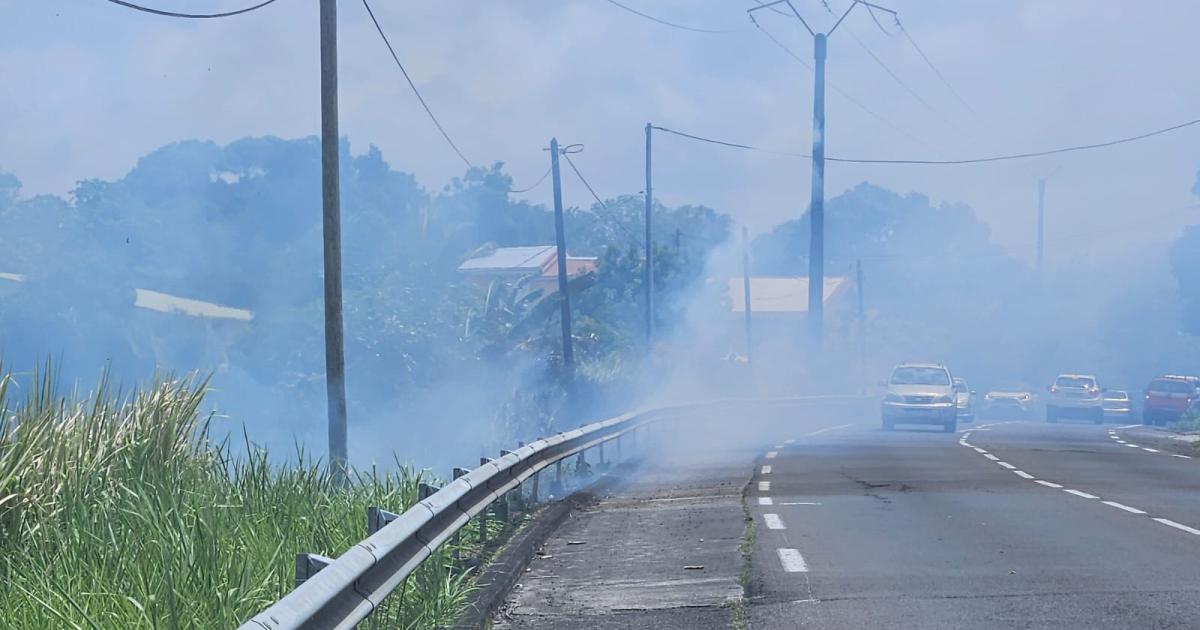 Un feu de broussailles au François