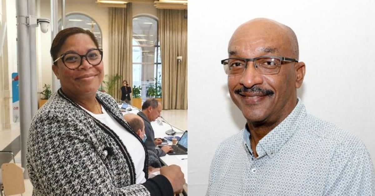 Européennes : Sylvie Gustave dit Duflo et Max Orville sur la liste de la majorité présidentielle