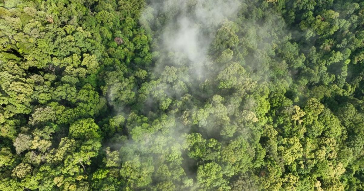 En 2023, El Niño a fait des ravages en Amérique latine