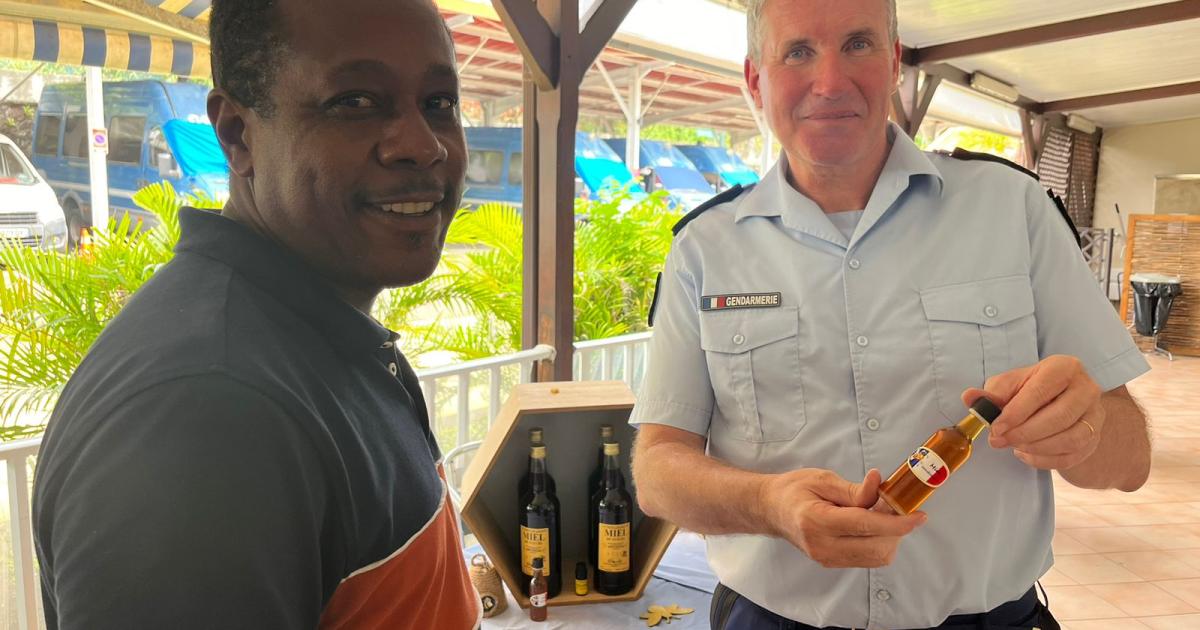 « Opération miel » réussie pour la gendarmerie de Martinique