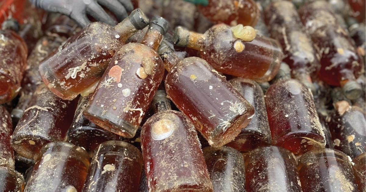 Après un an sous la mer, 700 bouteilles de rhum refont surface à Saint-Malo