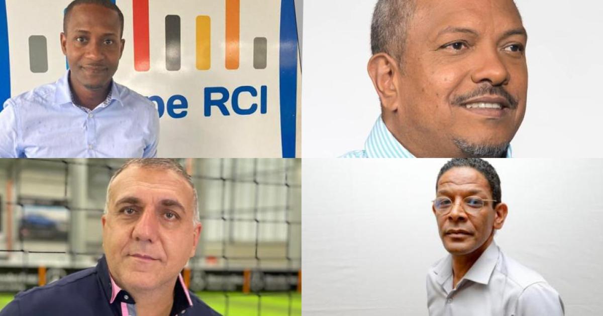 Législatives : qui pour succéder aux députés sortants en Martinique ?