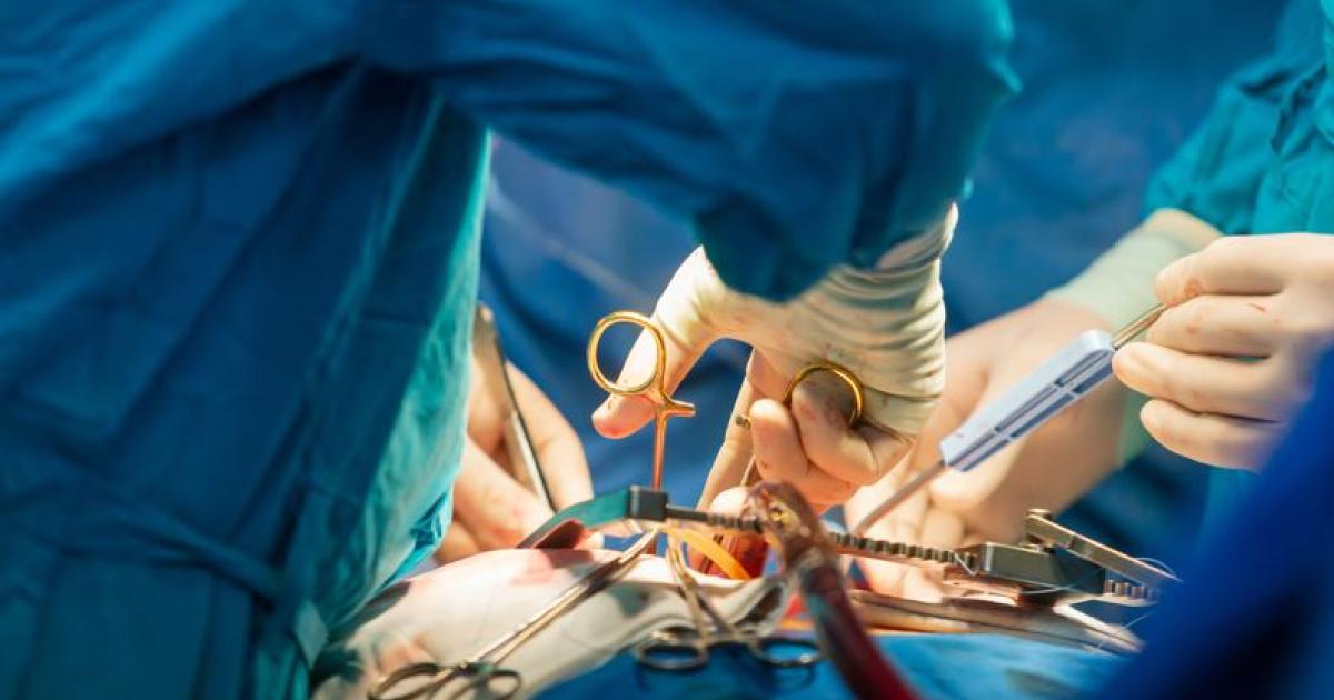     





Une avancée qui pourrait faire évoluer la transplantation cardiaque




