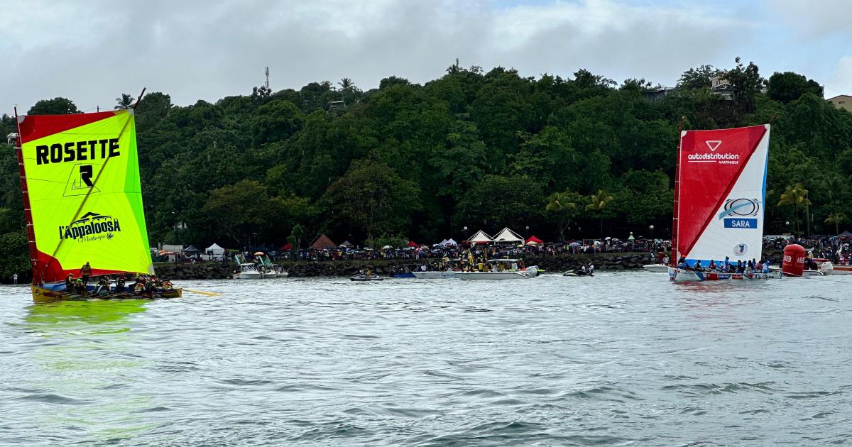     





[DIRECT] Rosette - L'Appaloosa remporte la 1ère étape du Tour des Yoles à Trinité ! 




