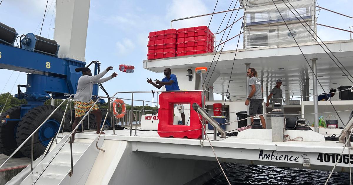 Saint-Vincent-et-les-Grenadines dévastée par Béryl : la solidarité s’organise en Martinique