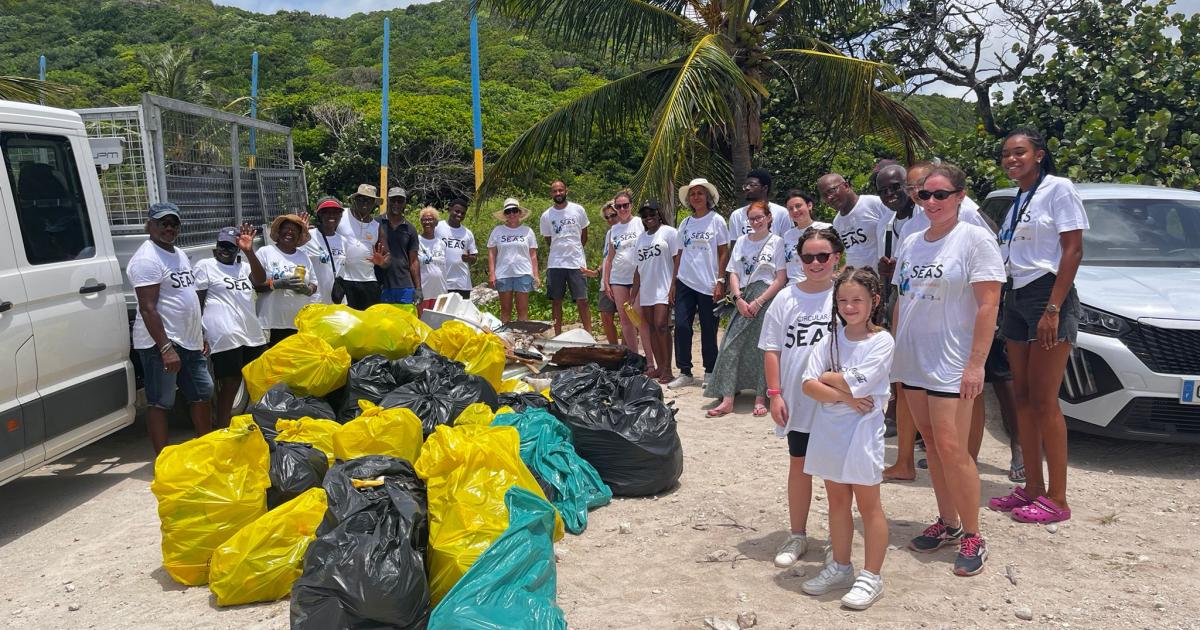 Opération de nettoyage à l’anse Marguerite au Moule