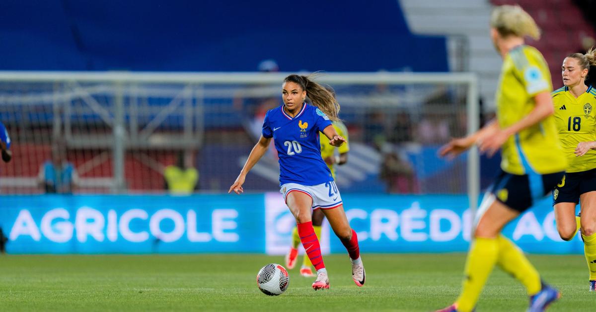    





JO 2024 : les Antillais des sports collectifs avec un bilan contrasté




