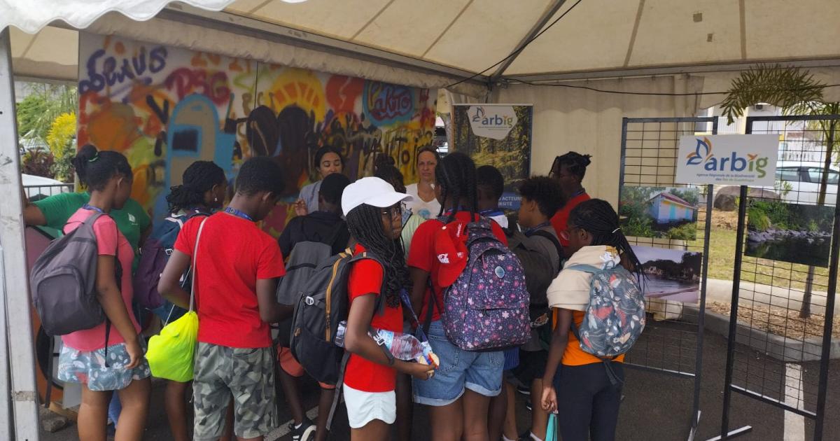 Préservation de la mangrove, les plus jeunes sensibilisés à Sainte-Rose