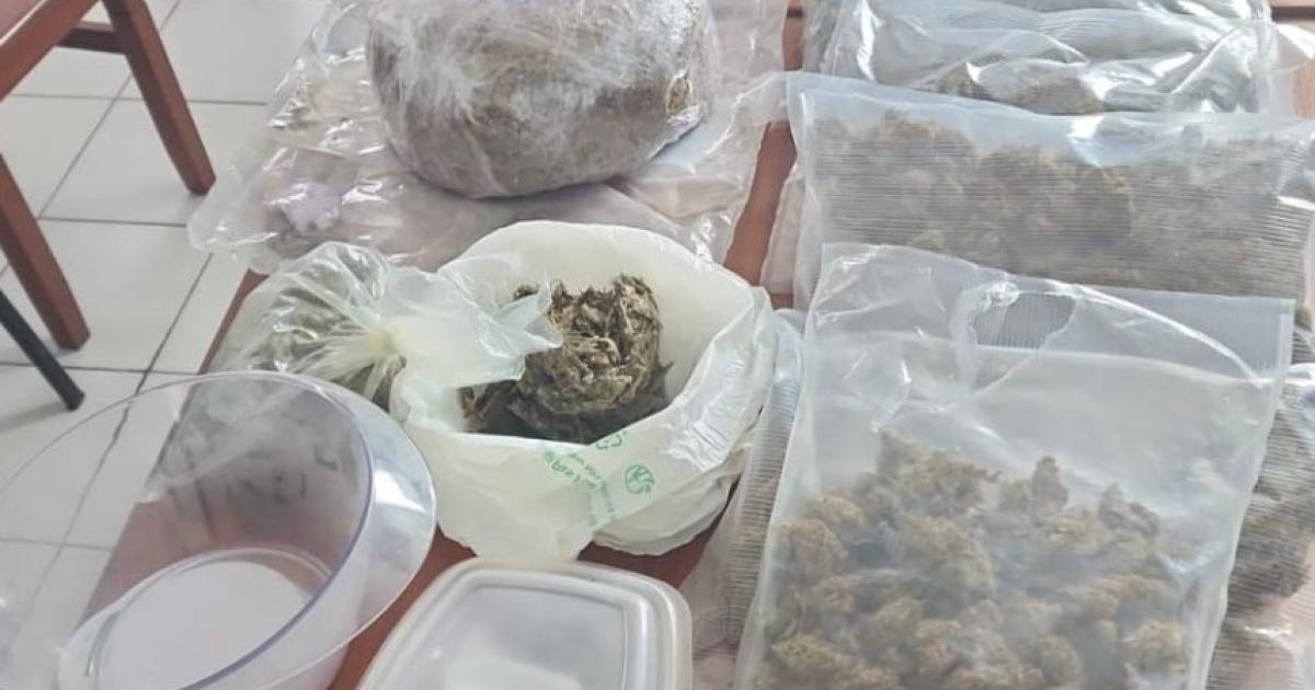 Écroué après un simple contrôle routier et une forte odeur de drogue