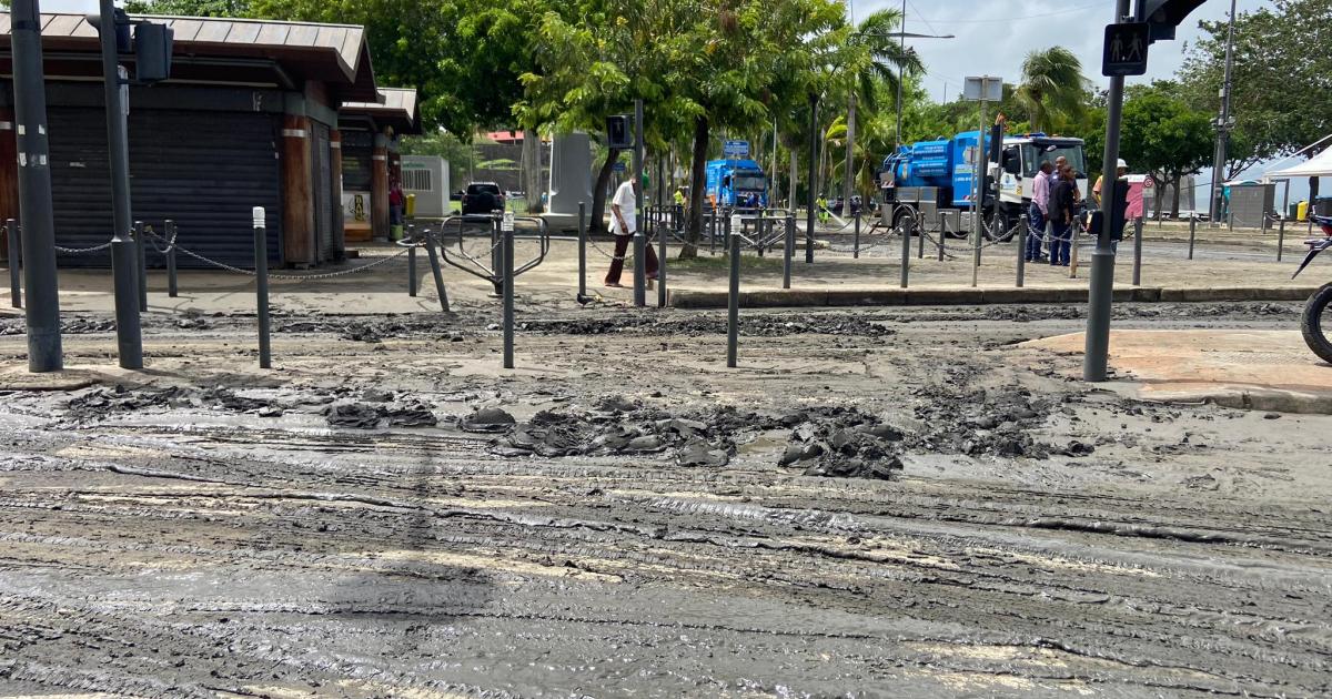     





[VIDÉO] Fort-de-France : des commerces envahis par la vase après l'ouragan Béryl




