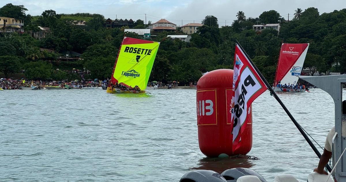     





[CLASSEMENT, VIDEO] 1ère étape du Tour des Yoles : victoire en apothéose de Rosette - L'Appaloosa ! 




