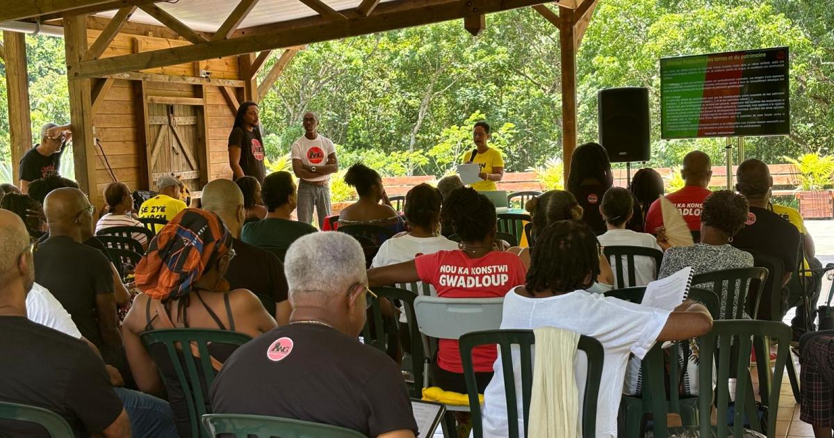 Les résolutions politiques de l’Alyans Nasyonal Gwadloup pour l’année à venir
